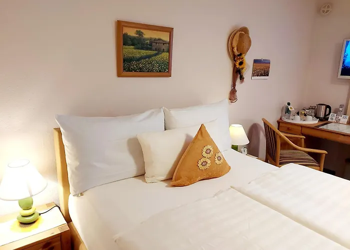 فندق Logis L Gutshof *